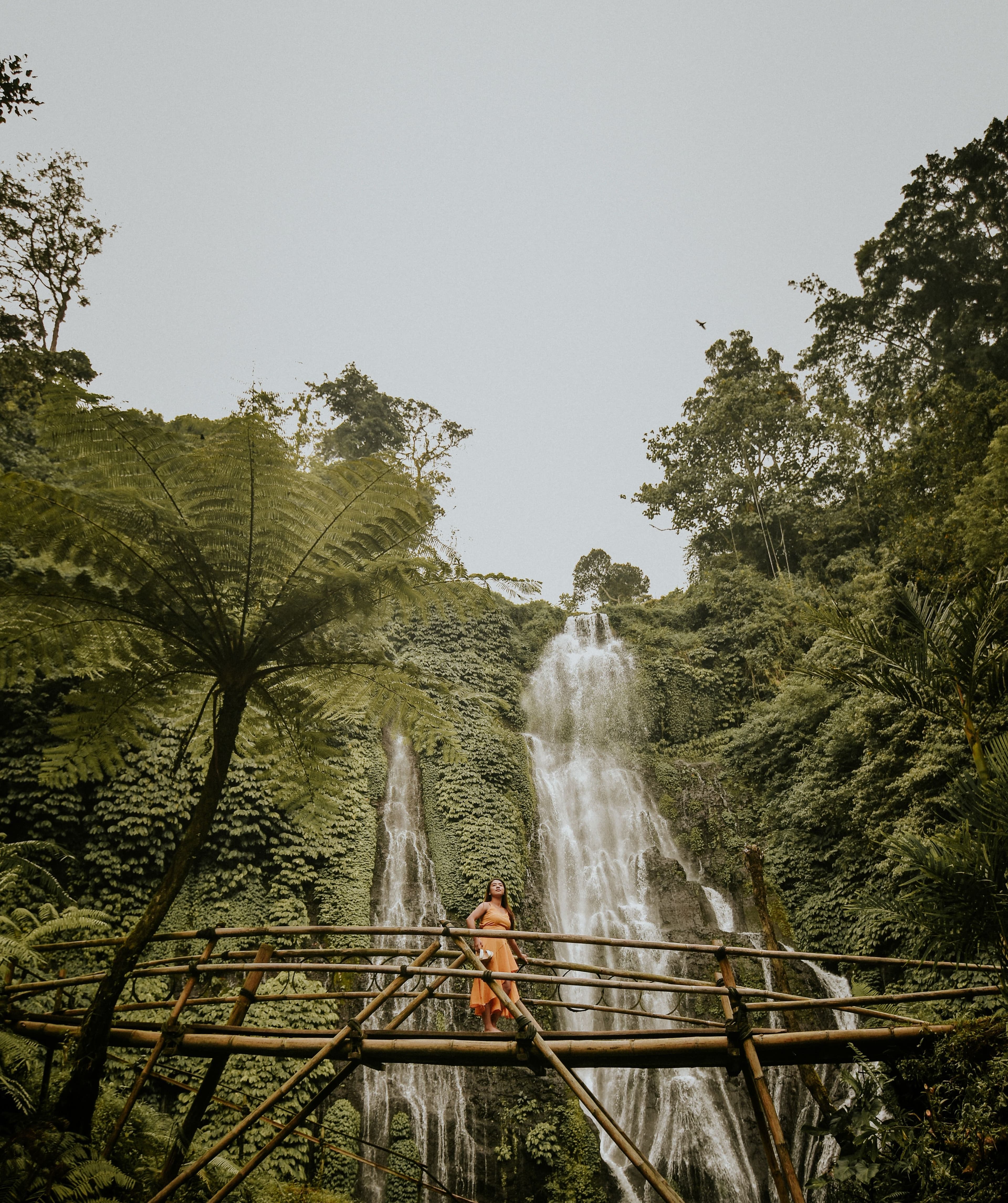 Bali : North Bali Instagramable, Gate, Waterfall, & more