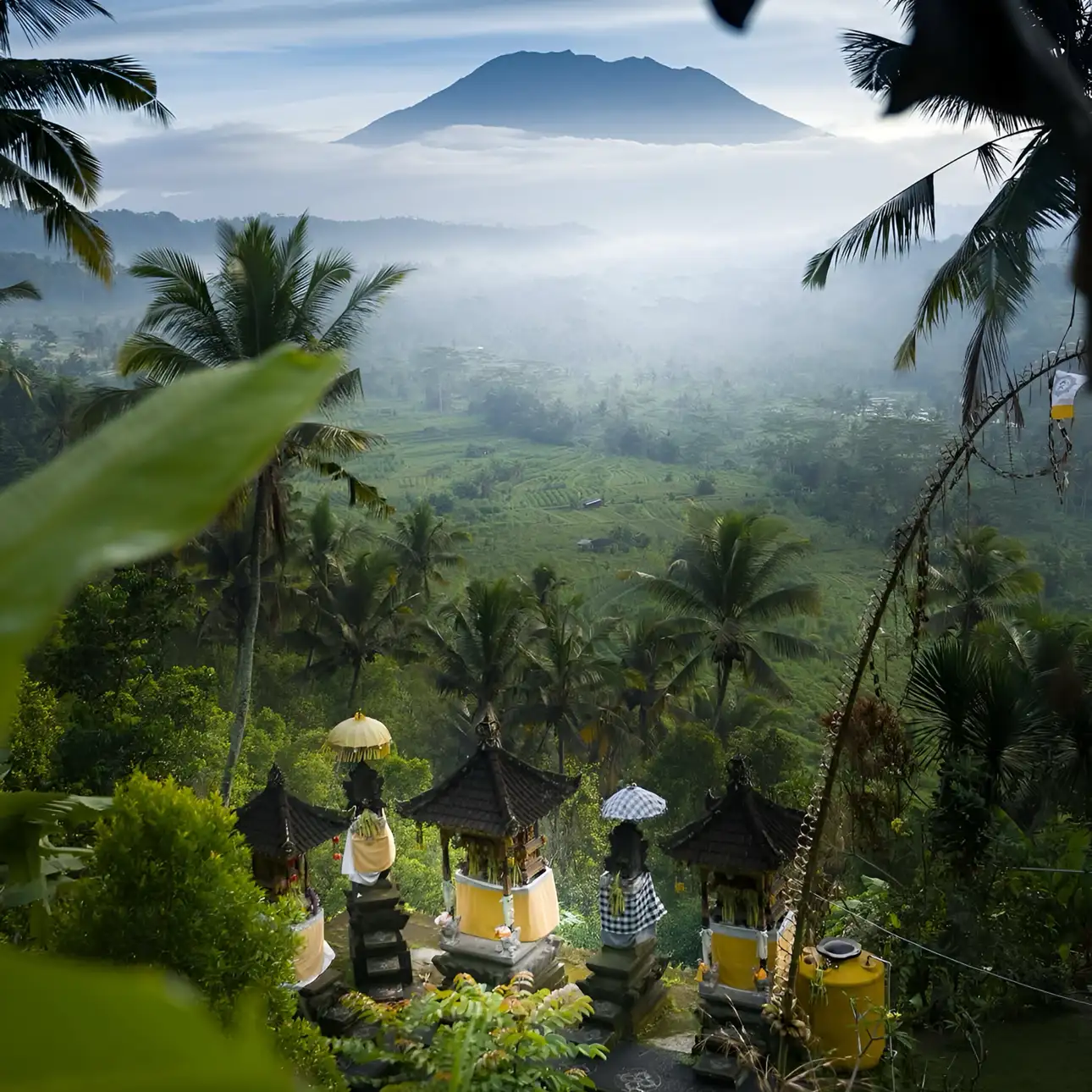 Ubud: Private Tour of Temples, Waterfalls & Rice Terraces