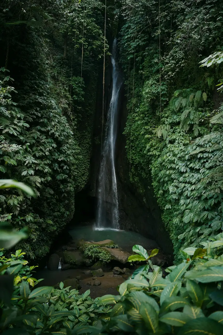 Bali’s Iconic Waterfalls, Rice Terraces